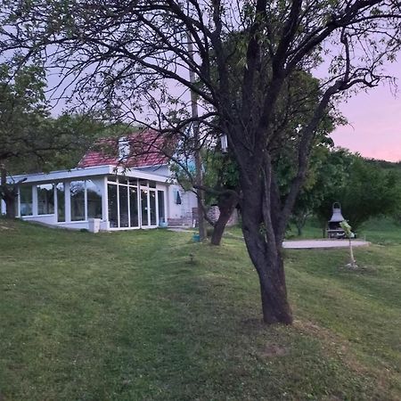 Honey Hill Apartment Fruska Gora Cerevic Esterno foto