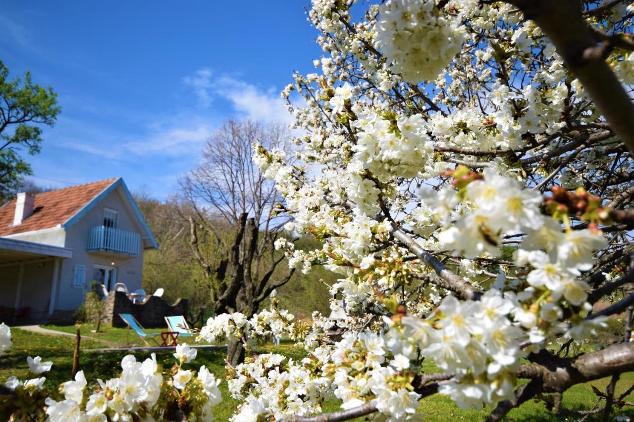 Honey Hill Apartment Fruska Gora Cerevic Esterno foto