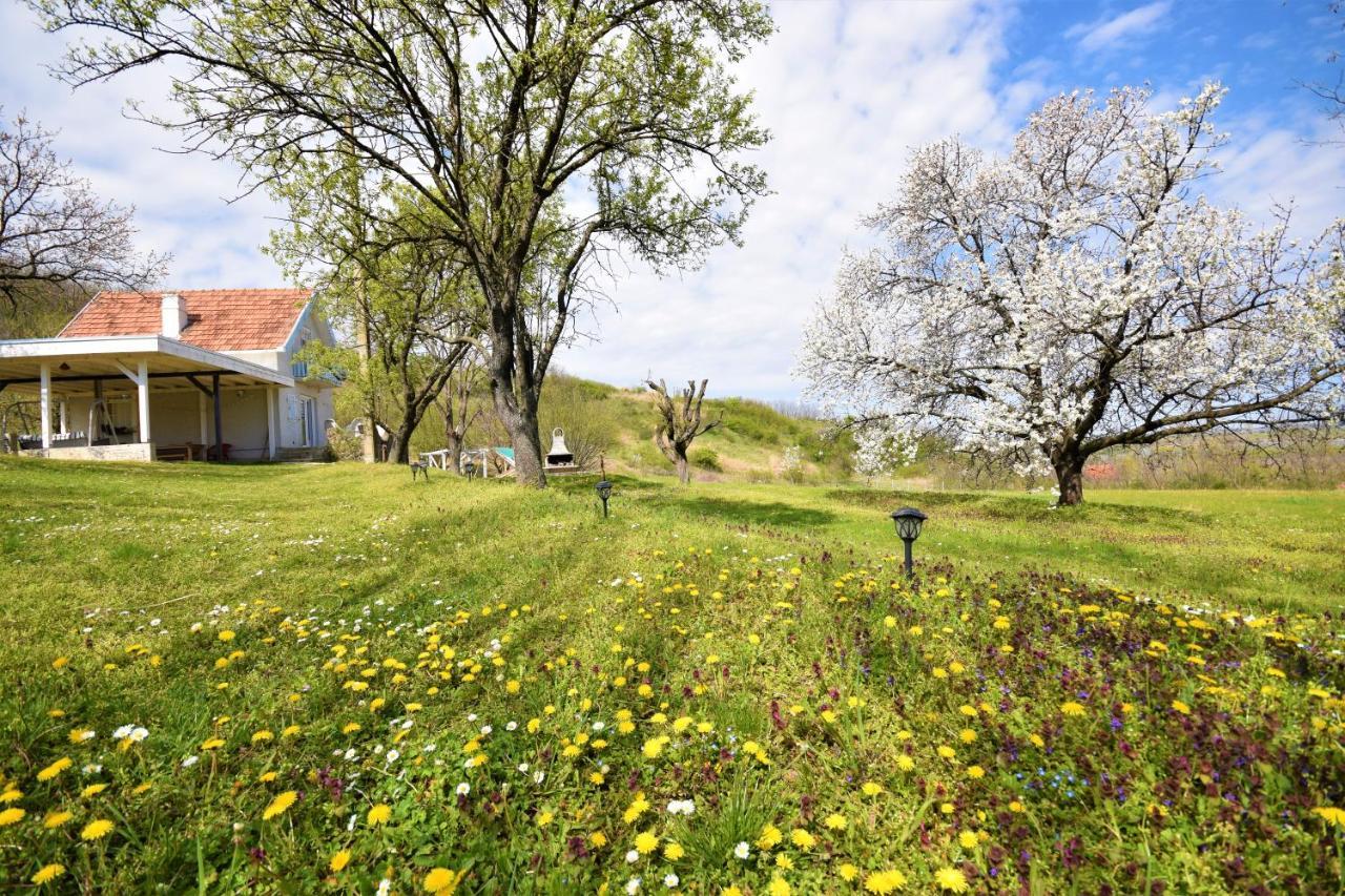 Honey Hill Apartment Fruska Gora Cerevic Esterno foto