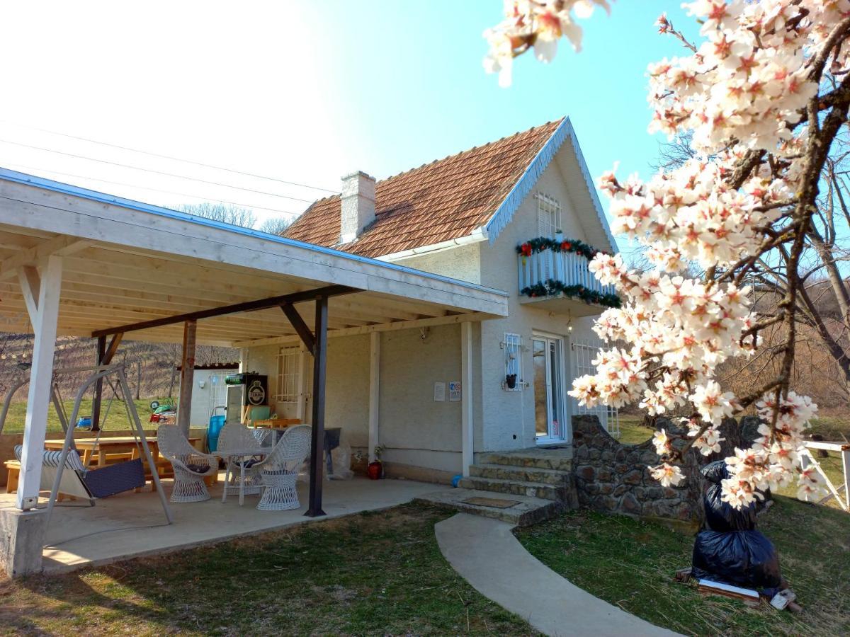 Honey Hill Apartment Fruska Gora Cerevic Esterno foto