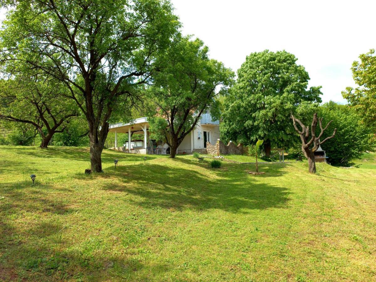 Honey Hill Apartment Fruska Gora Cerevic Esterno foto