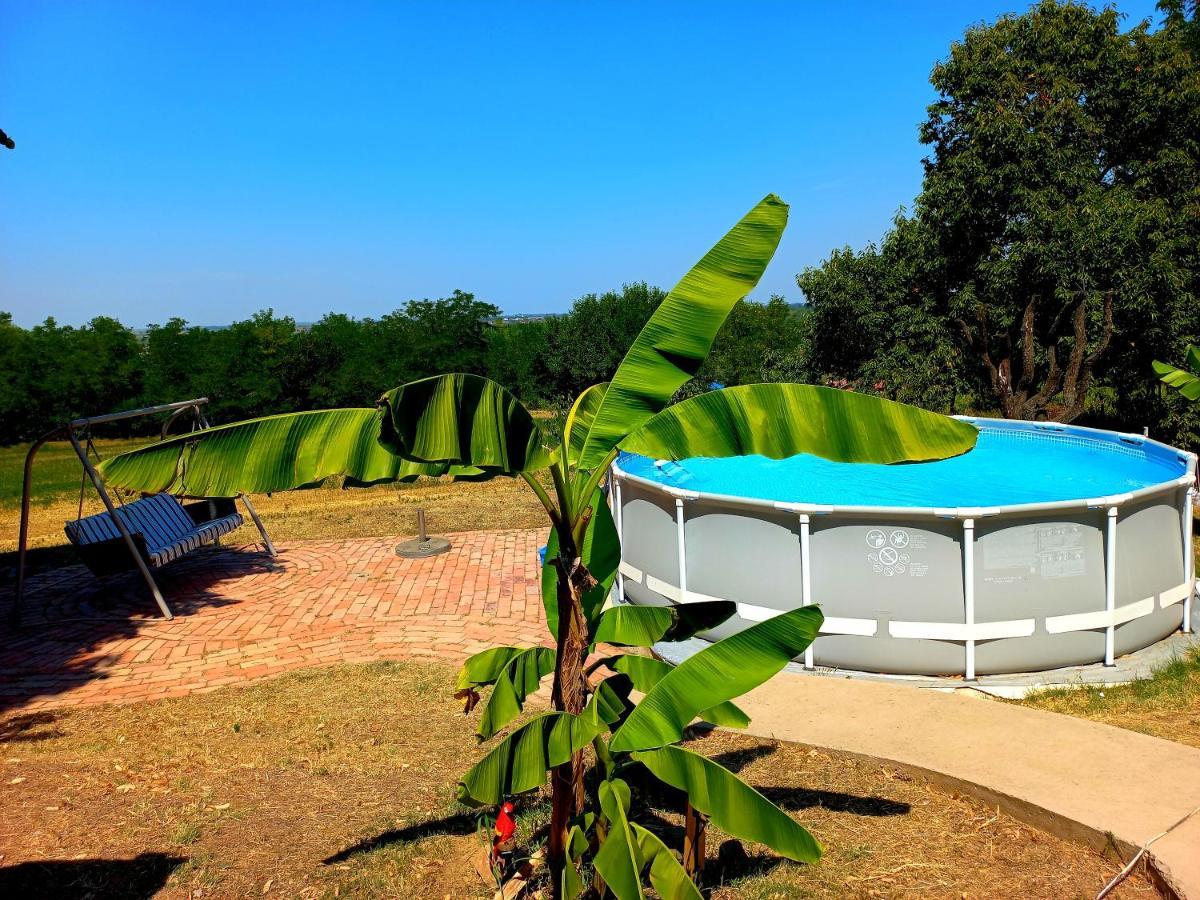 Honey Hill Apartment Fruska Gora Cerevic Esterno foto
