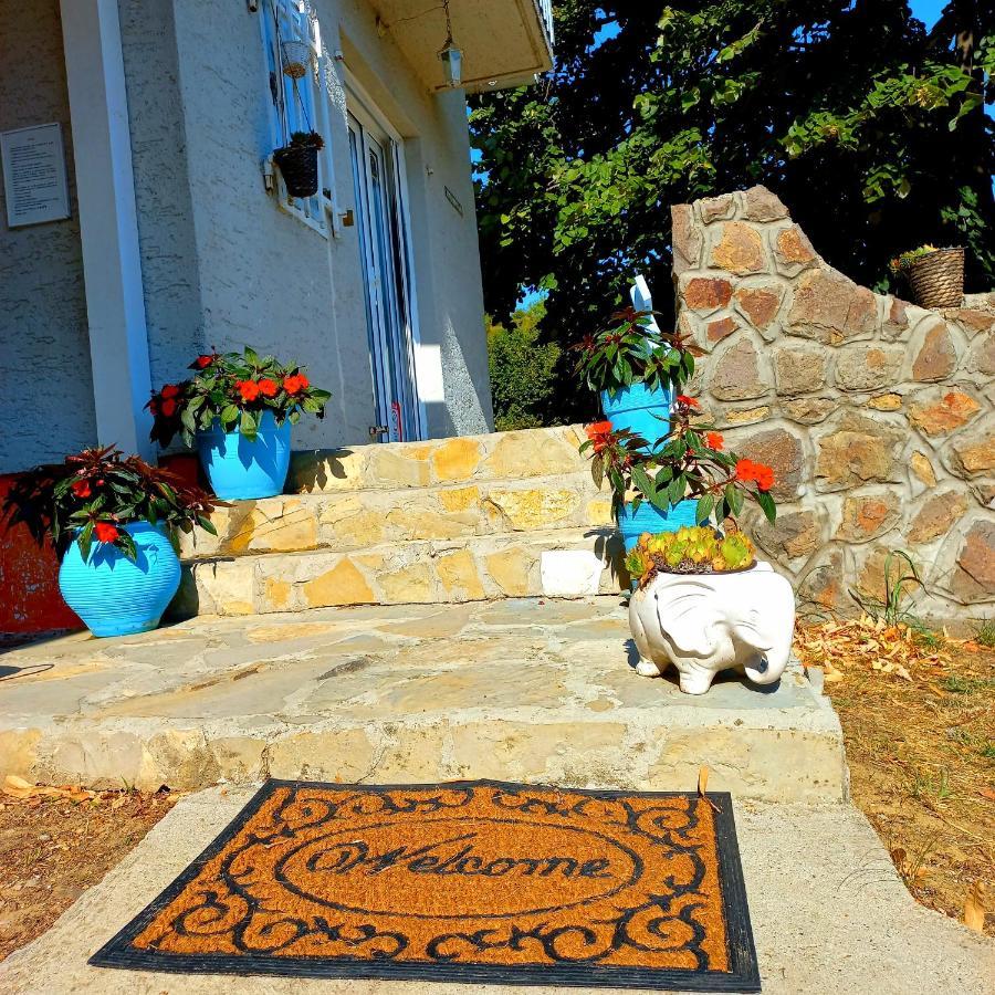 Honey Hill Apartment Fruska Gora Cerevic Esterno foto