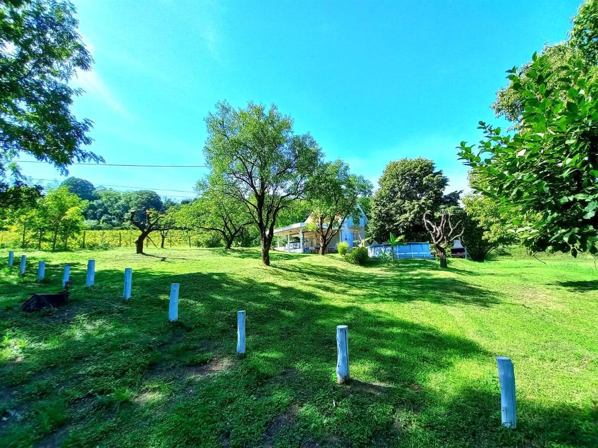 Honey Hill Apartment Fruska Gora Cerevic Esterno foto