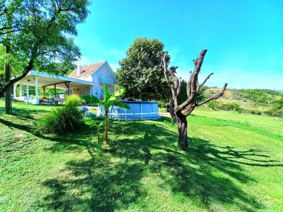 Honey Hill Apartment Fruska Gora Cerevic Esterno foto