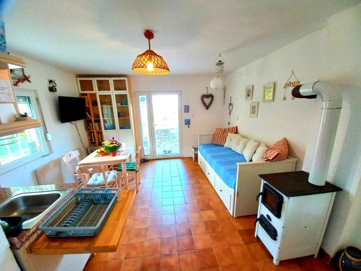 Honey Hill Apartment Fruska Gora Cerevic Esterno foto