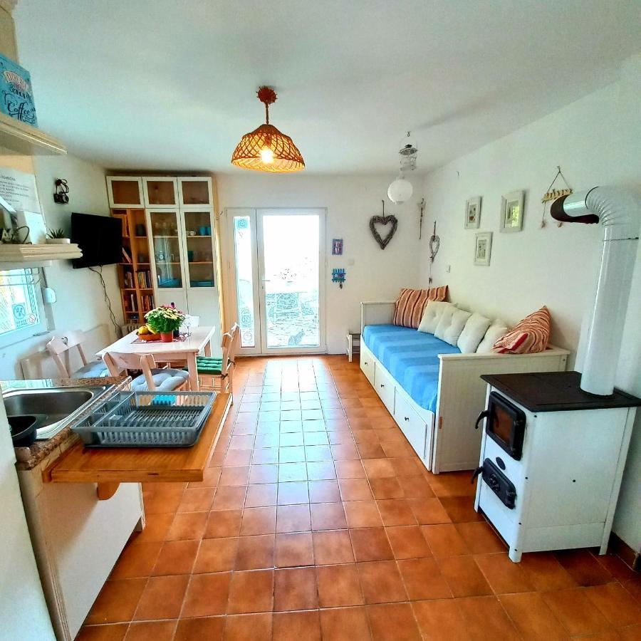 Honey Hill Apartment Fruska Gora Cerevic Esterno foto