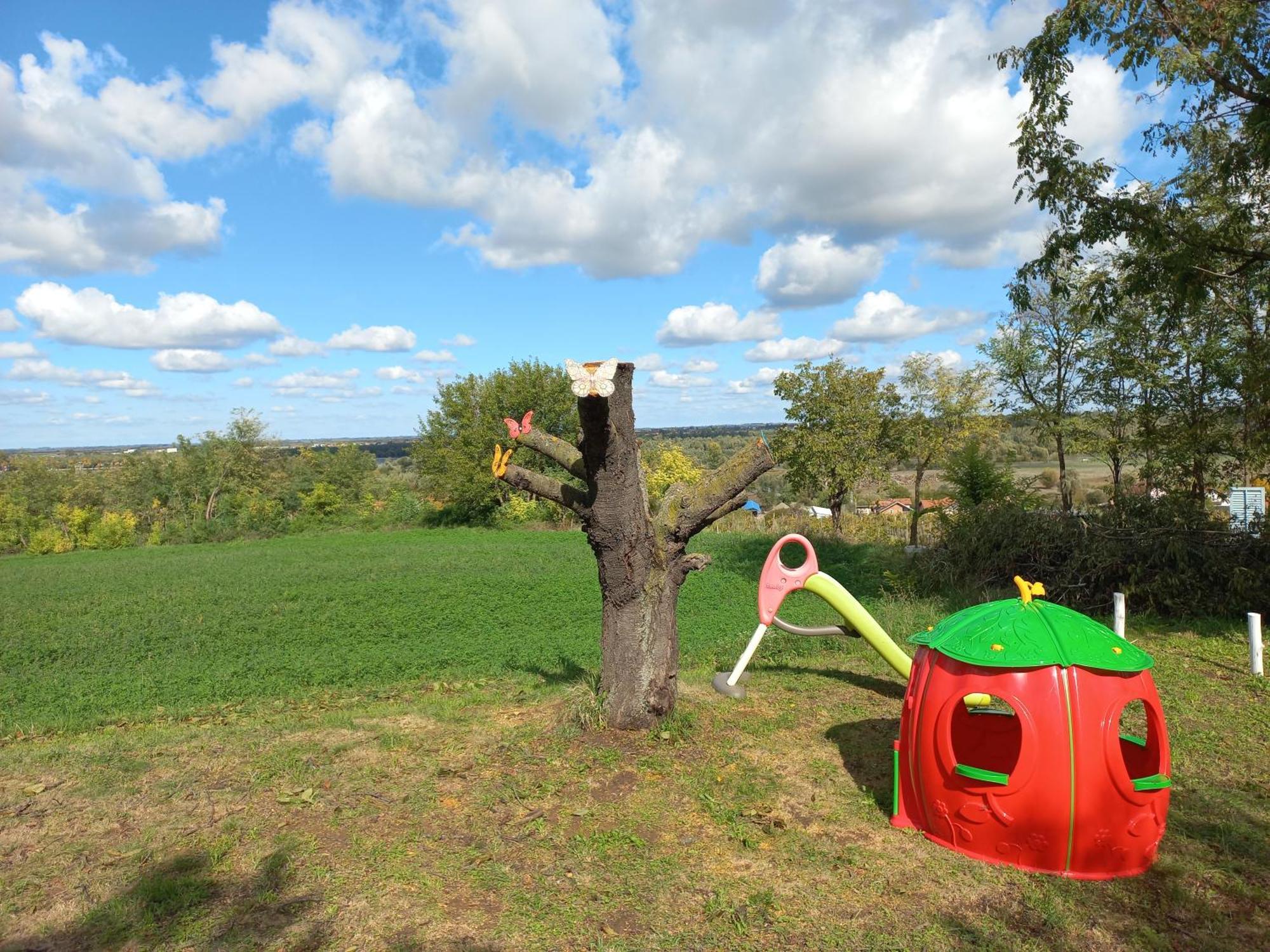 Honey Hill Apartment Fruska Gora Cerevic Esterno foto