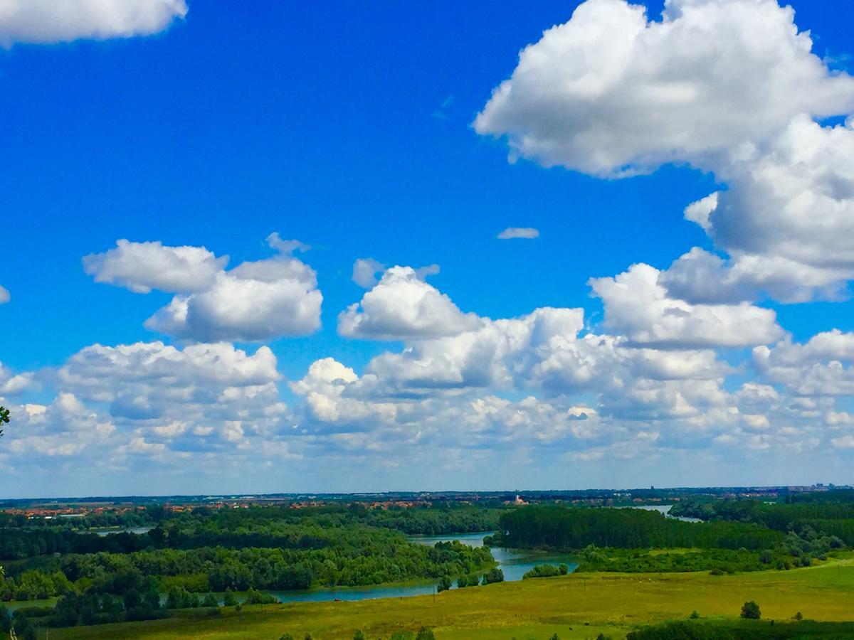 Honey Hill Apartment Fruska Gora Cerevic Esterno foto